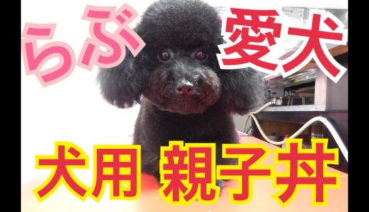 【亀田史郎・姫月の愛犬】犬用の親子丼実食！