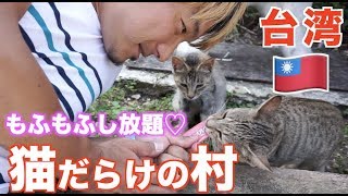 【台湾】猫好き歓喜❗️猴硐猫村(Cat village)はネコ天国！※ただしケガに注意してね！