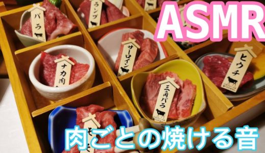 『ASMR』肉ごとの焼ける音　飯テロ　京都肉どころ　十二屋　京都姫牛