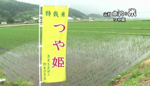 もとさわの米 つや姫 The making of Japanese rice “Motosawa” 4　【HD】