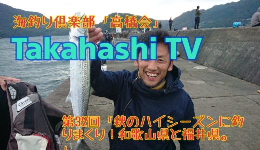 福井県音海釣り動画Takahashi TV 第32回「秋のハイシーズンに釣りまくり！和歌山県と福井県。」