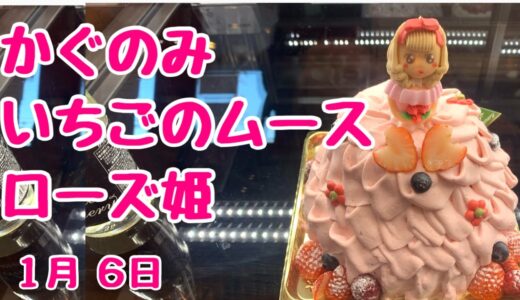 【食レポ】丸ごと１個ケーキ食べちゃいます！かぐのみさんのいちごムース「ローズ姫」